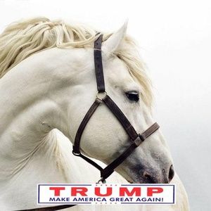 Meet your Posher, Kristina